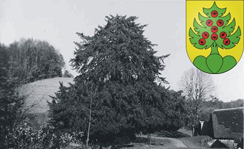  Gemeinde Heimiswil